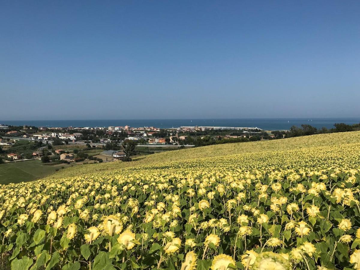 Agricampeggio Abbruzzetti Marina Palmense Zewnętrze zdjęcie